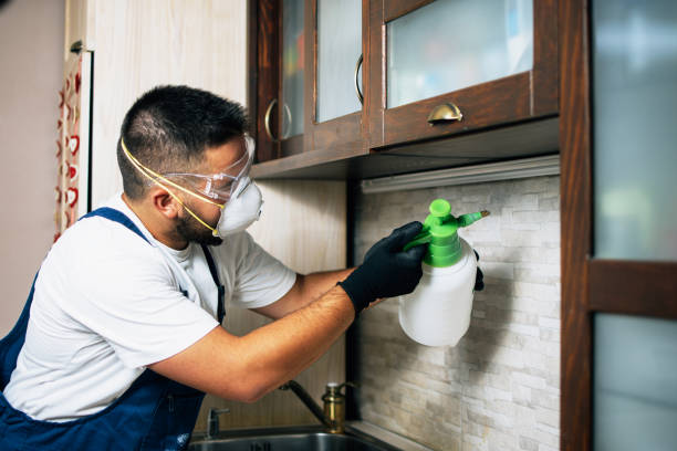 Best Bed Bug Extermination  in West Falmouth, MA