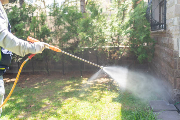 Best Mosquito Control Services  in West Falmouth, MA