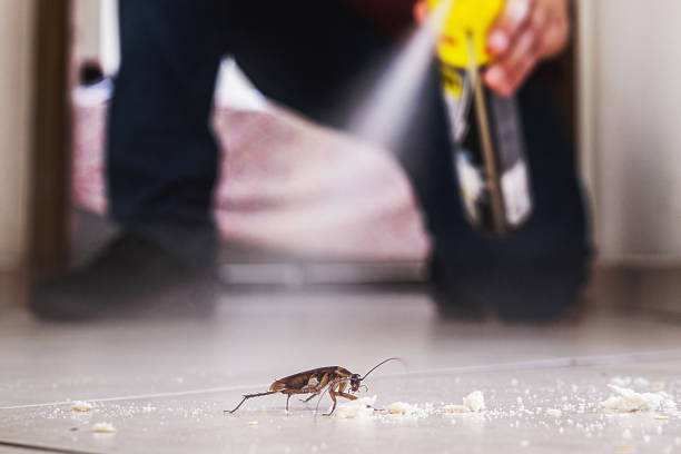 Pest Control for Restaurants in West Falmouth, MA