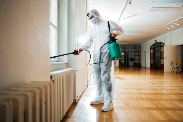 Best Affordable Pest Control Services  in West Falmouth, MA
