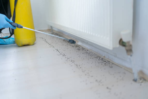 Best Pest Control for Businesses  in West Falmouth, MA